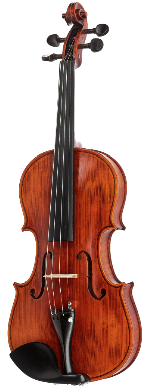 Stentor Elysia Violin