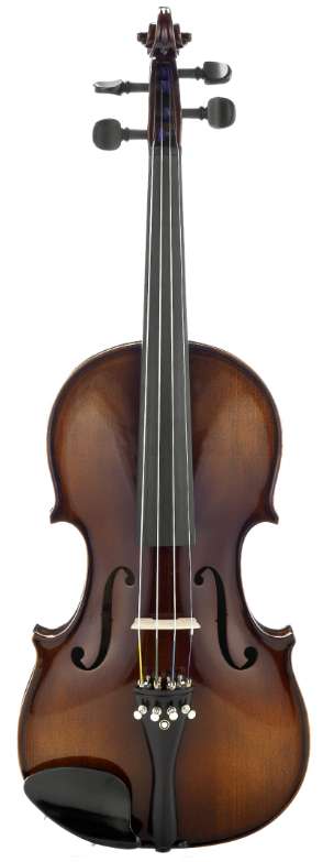 Stentor Elysia Violin