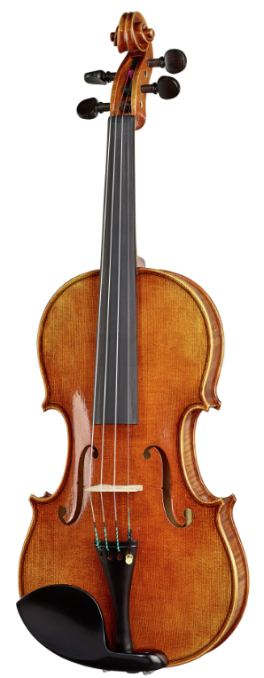 Stentor Elysia Violin